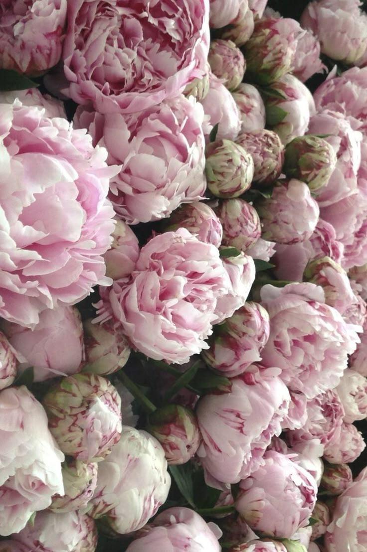 AnchorShiftWander workshop space where corporate flower arrangements are designed and prepared for business delivery